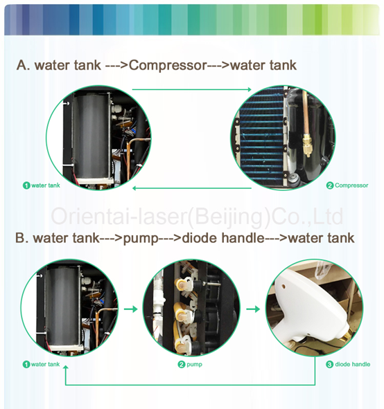 Vertical Laser Hair Removal Machine For Distributor Laser OEM / ODM