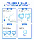 220v Colon Hydrotherapy Machine Skin Rejuvenation 2L/Min Colonix Machine